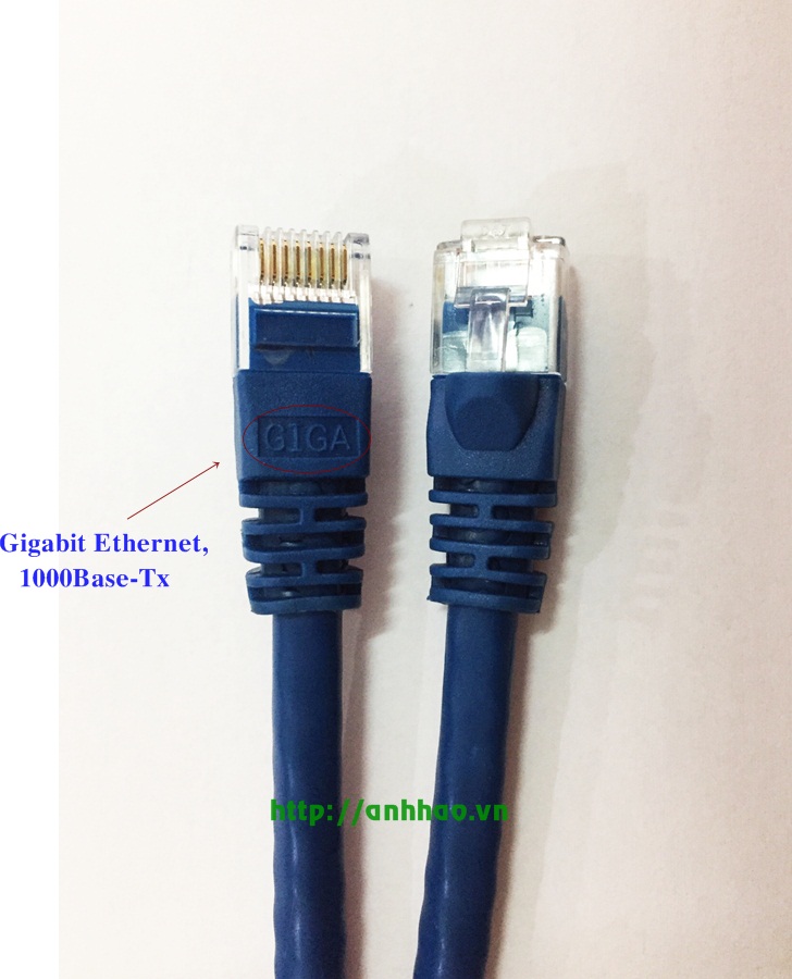 Dây nhảy cat6 30M Sinoamigo SN: 20213 lõi đồng (xanh)